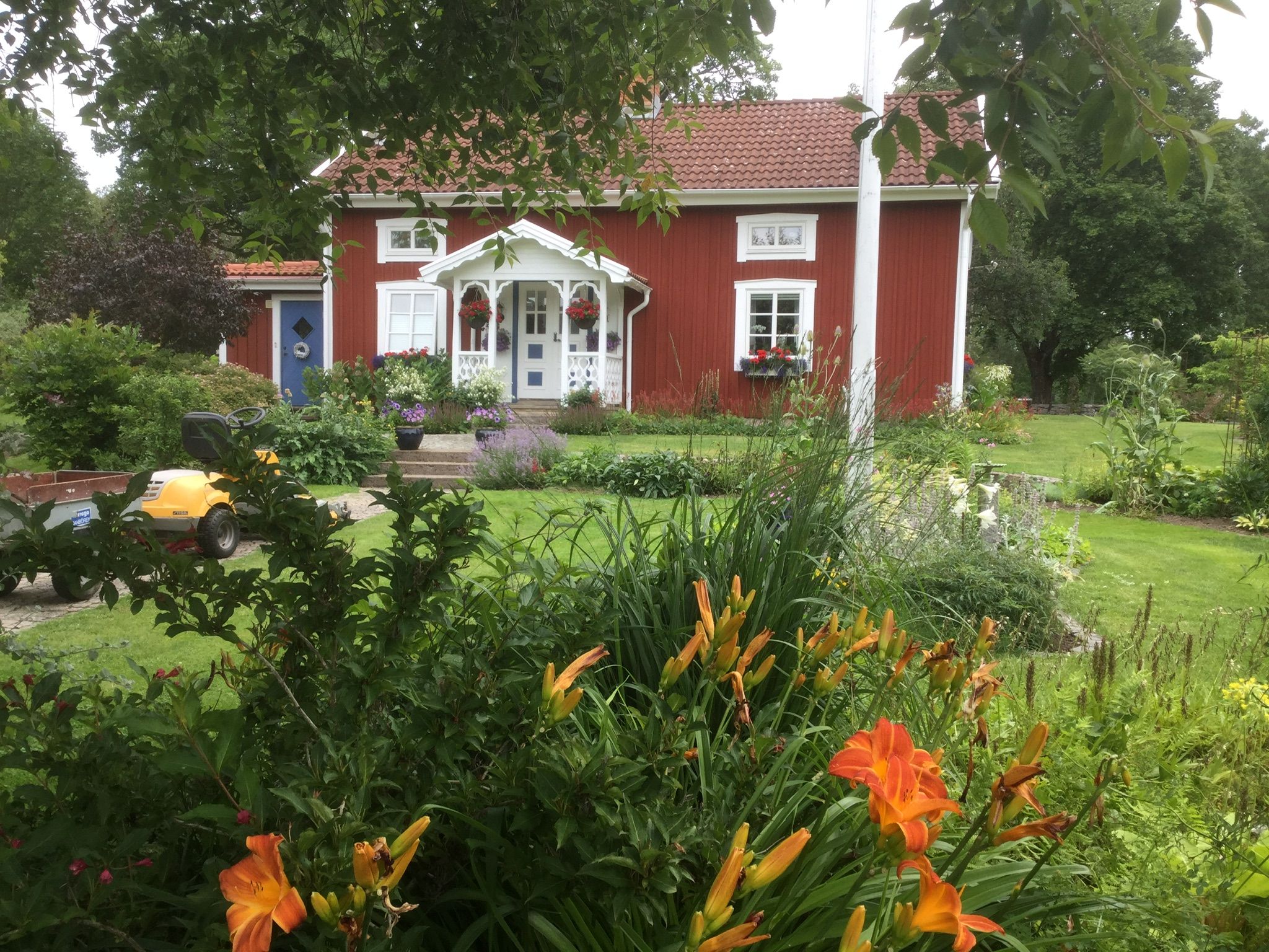 trädgård