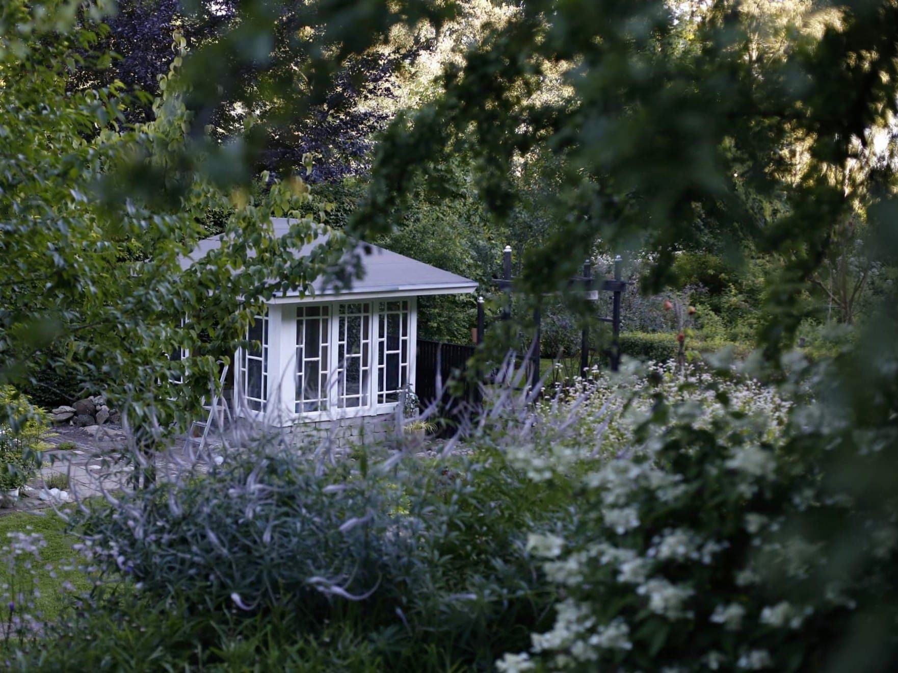 trädgård