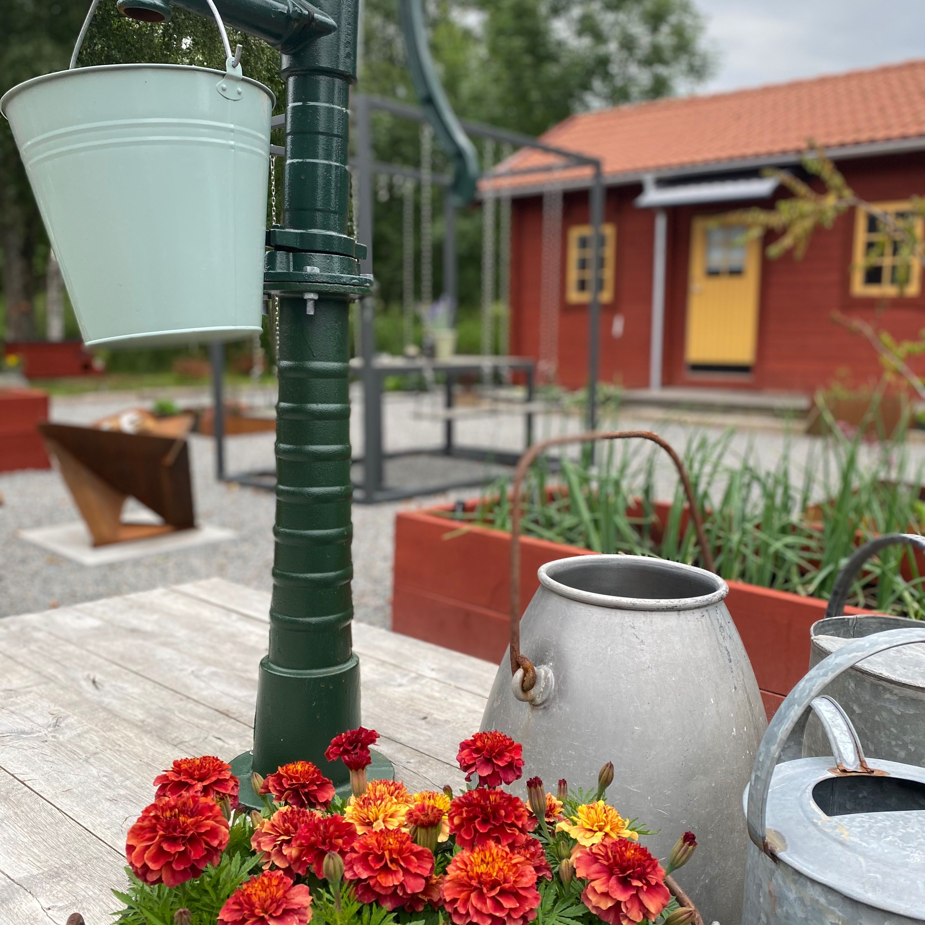 trädgård