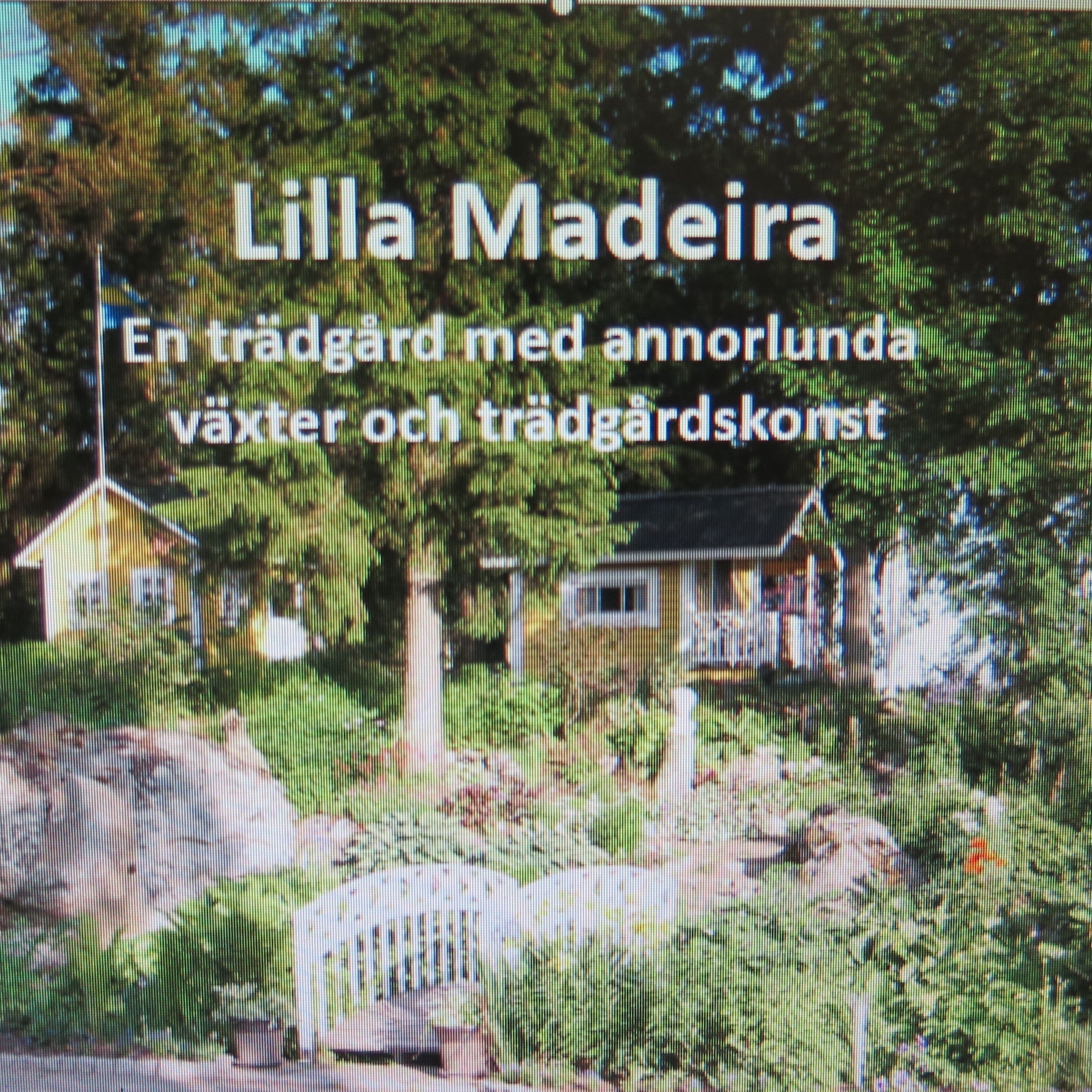 trädgård